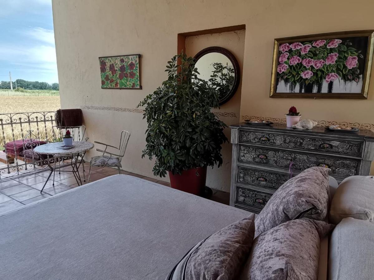 Mas Horta Prim Guest House ซันต์เปเร เปสกาดอร์ ภายนอก รูปภาพ