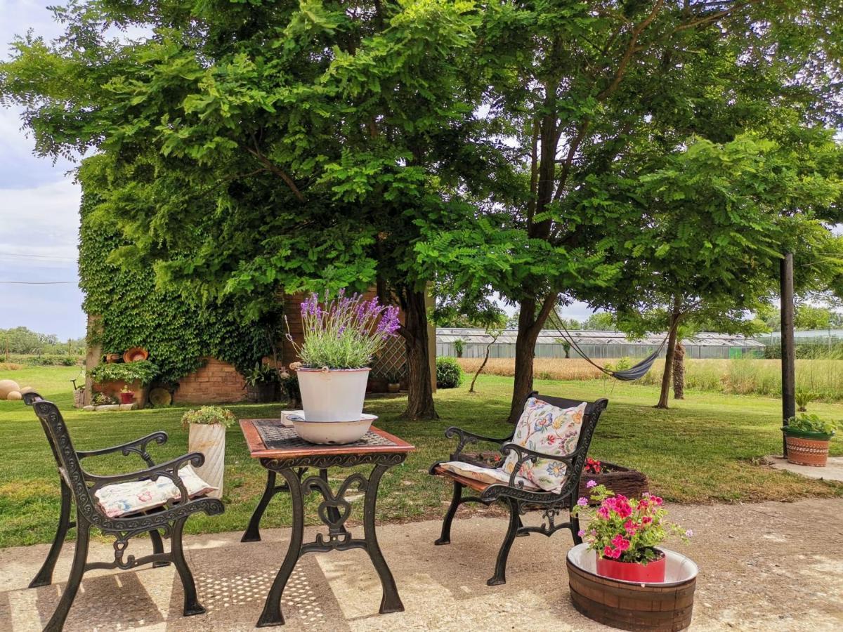 Mas Horta Prim Guest House ซันต์เปเร เปสกาดอร์ ภายนอก รูปภาพ